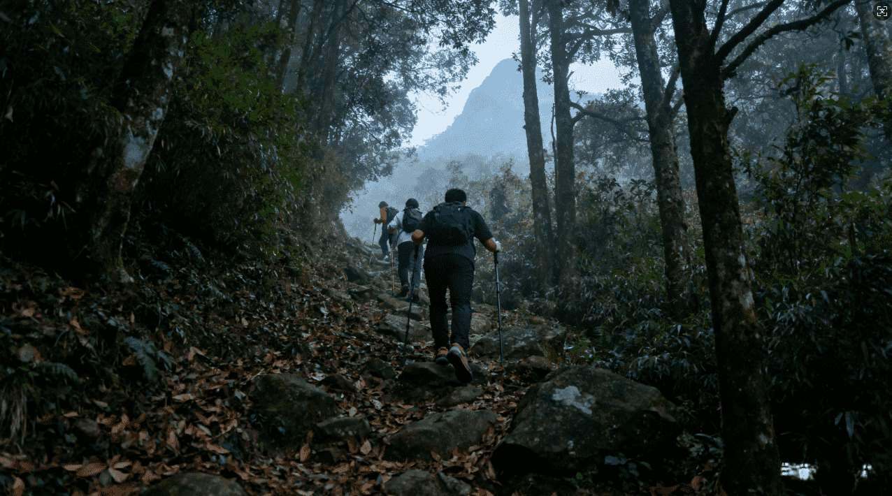 小牛加速器在手机上的连接与设置详细操作指南